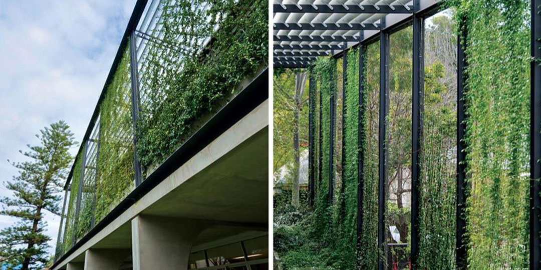 WHERE TO USE ROFF WIRE MESH IN YOUR LANDSCAPING PROJECTS